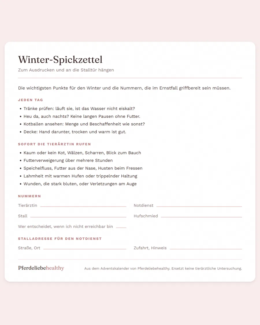 Der Winter-Spickzettel zum Ausdrucken mit Punkten für jeden Tag und Feldern für Notfallnummern