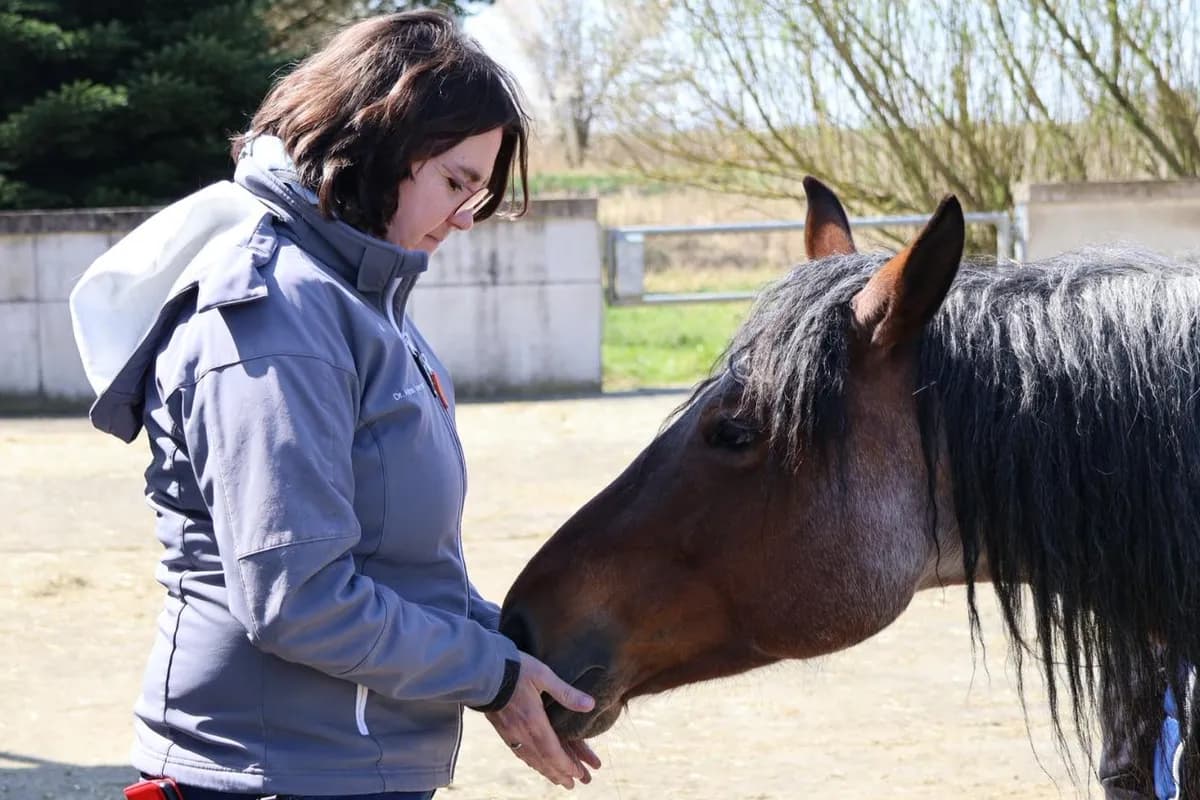 Dr. Andrea Wüstenhagen mit einem Pferd